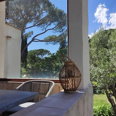 Tropezienne Daire Saint-Tropez